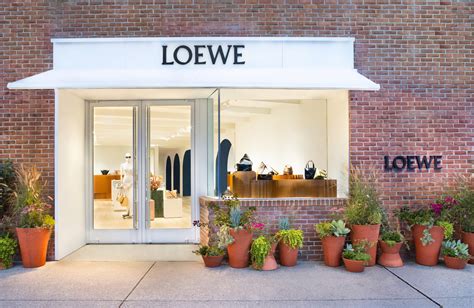 prada loewe|Loewe store.